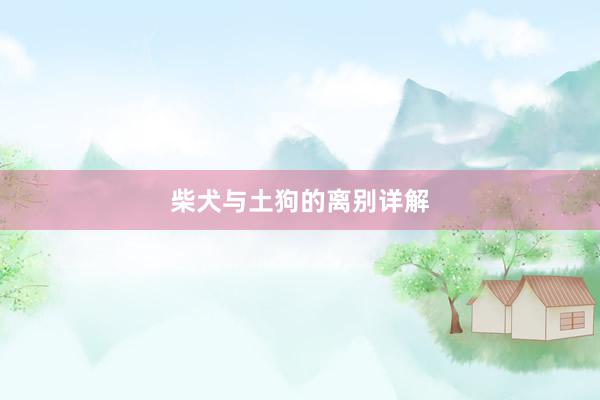 柴犬与土狗的离别详解