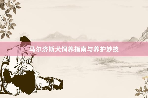 马尔济斯犬饲养指南与养护妙技